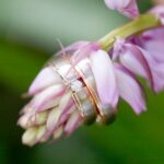trouwfotografie dongen 047