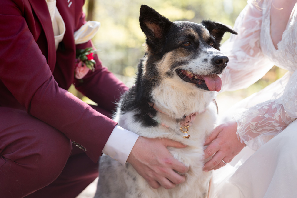 CarolaSpijkersFotografie 0412250449