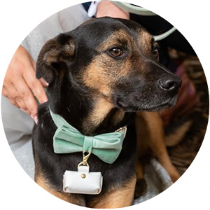 Trouwfotografie 7 review4